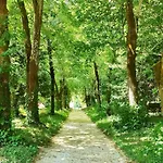 Dordogne Chateau With Pool & Garden Sleeps 14 *
